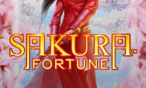 Слот Sakura Fortune в Тайгер казино: 
