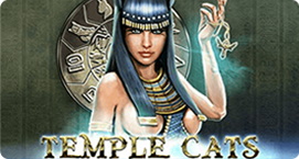 Тайгер казино temple cats